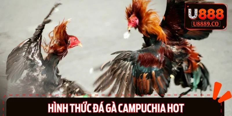 Tổng hợp 3 hình thức thi đấu ưa chuộng